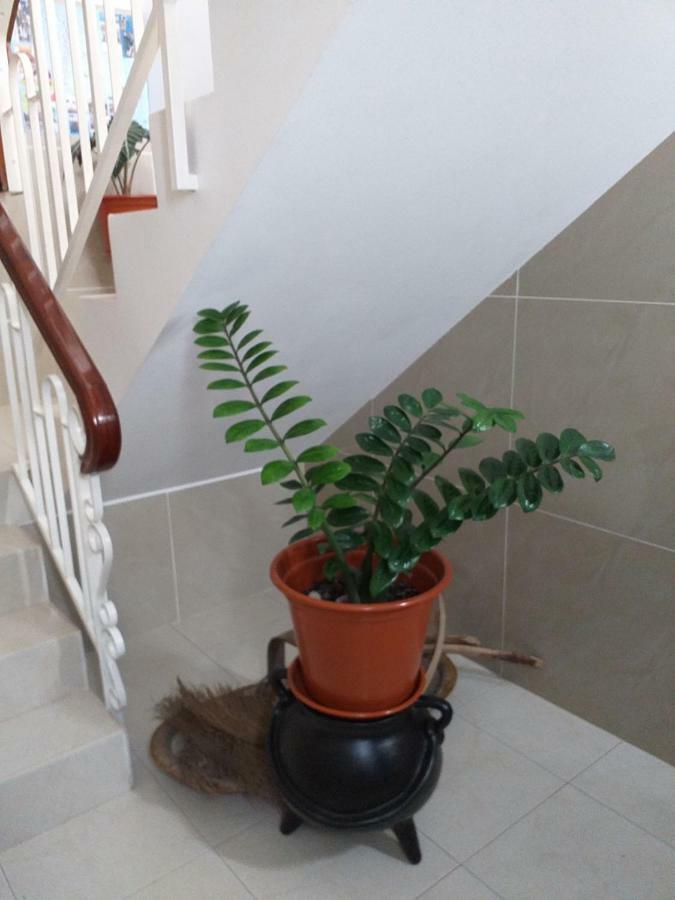 Maderalzinho Apartment มินเดโล ภายนอก รูปภาพ